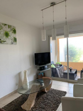 3p, grd terrasse, jardin, centre-ville, 150m de la mer